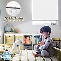 Vista 3 de Persianas enrollables sin cordón para ventanas, persianas enrollables con levantamiento de resorte con aislamiento térmico para el hogar, oficina