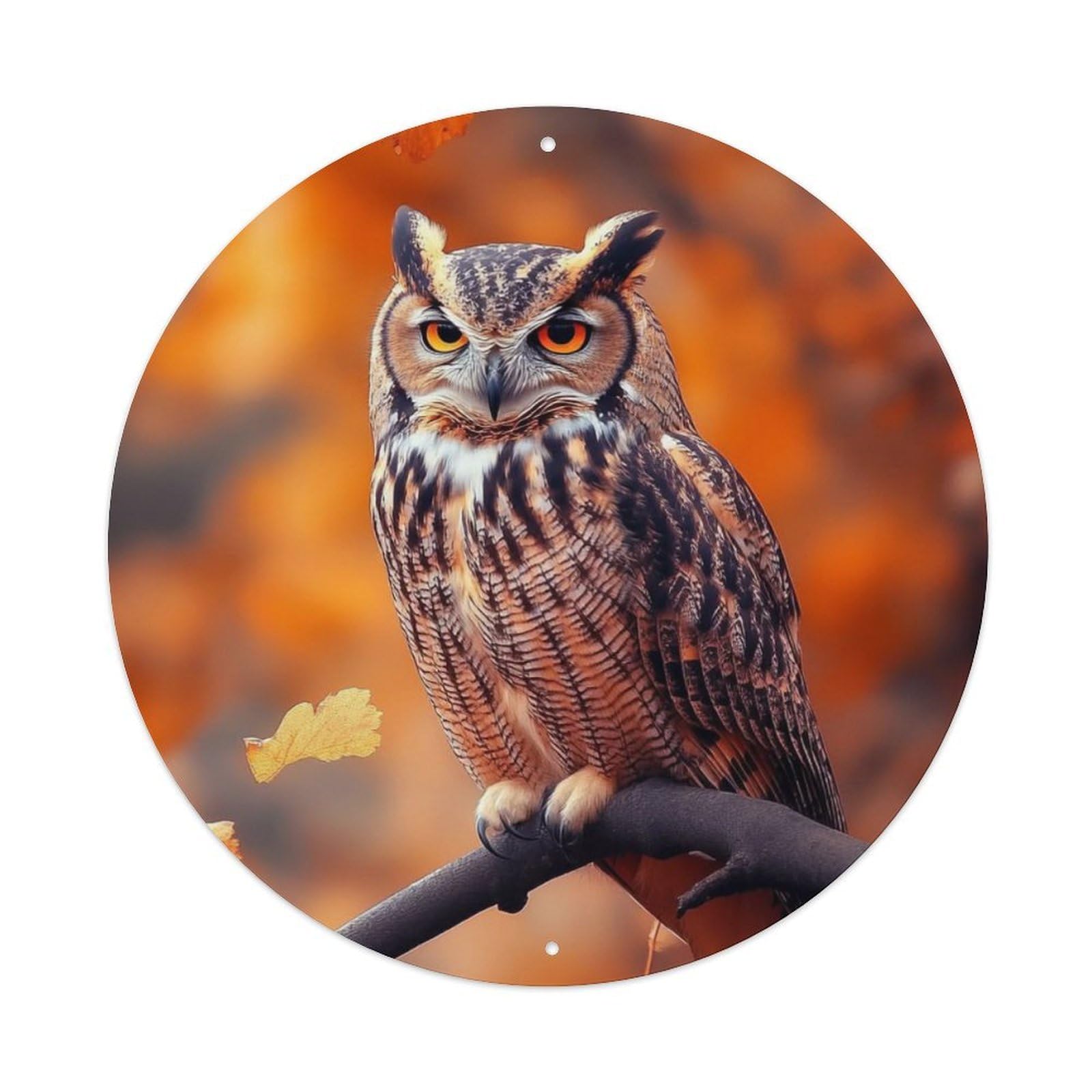 Animal Owl Fall Forest Nature Wildlife Photography Vintage Metal Tin Sign Plaque Wall Decor for Cafe, Club Bar, Office, Garden Metal Poster 8x8Inch