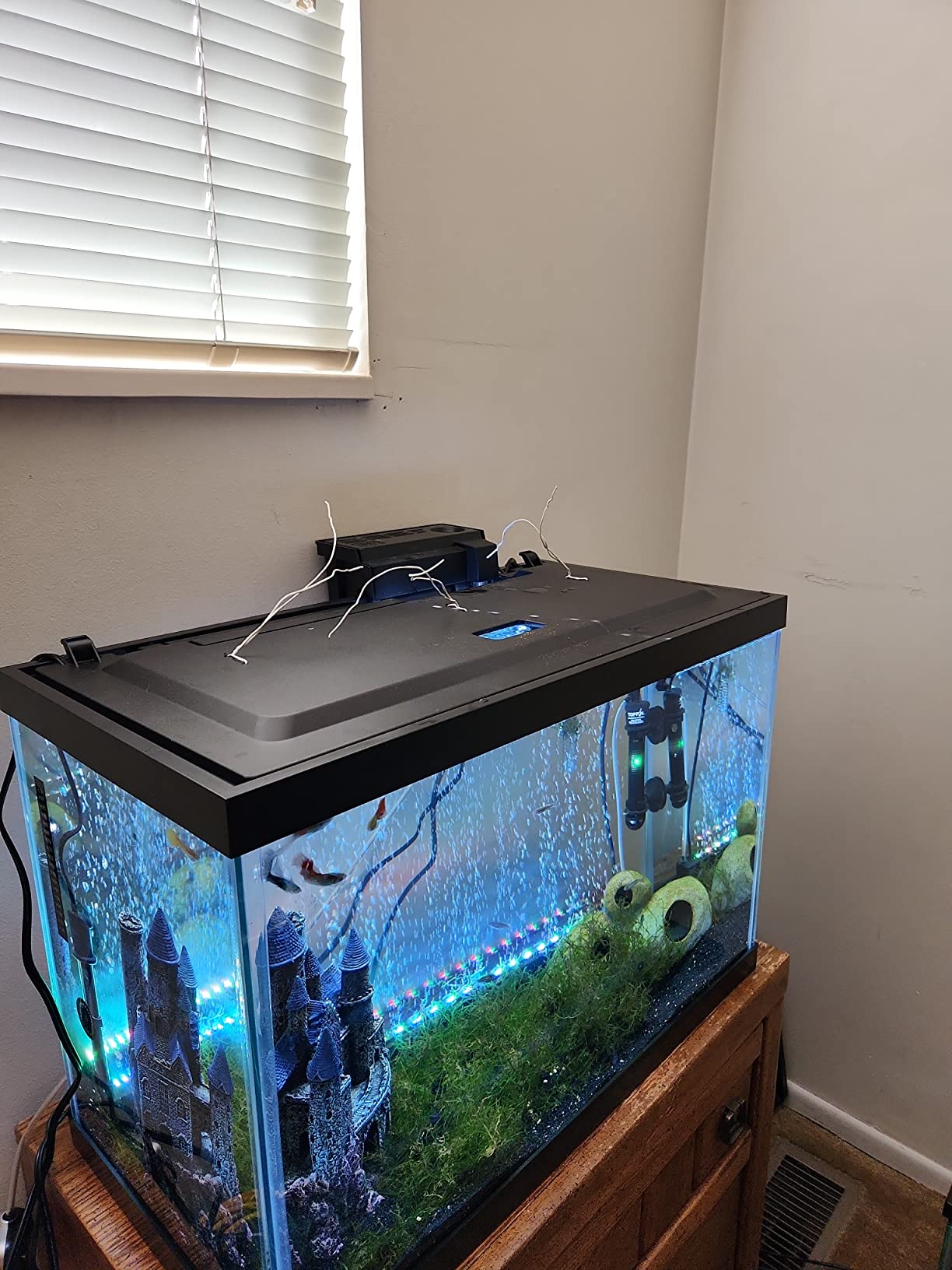 22/mo Finance Tetra ColorFusion Aquarium 20 Gallon Fish Tank Kit