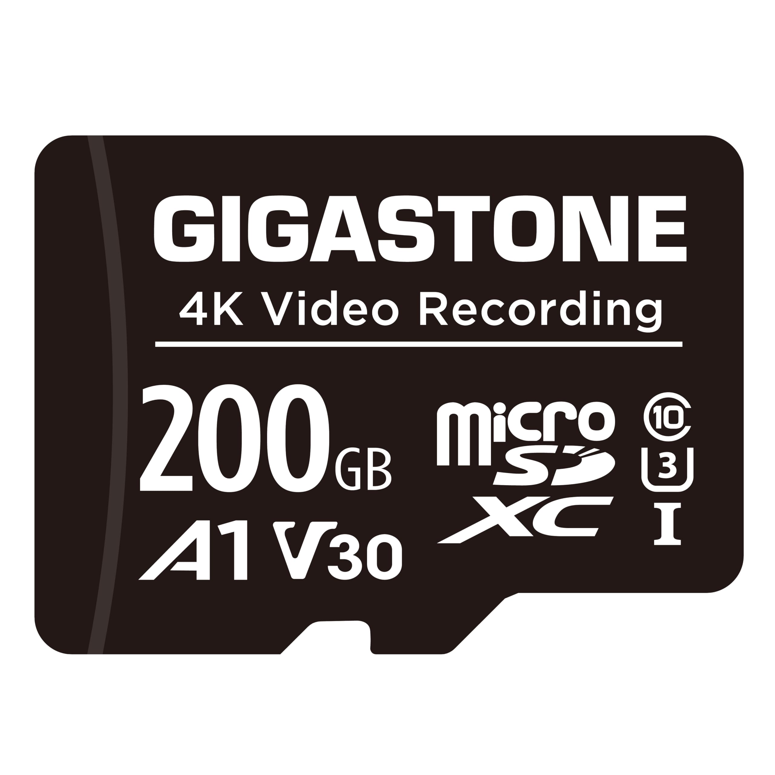 GIGASTONE 200GB Video Recording