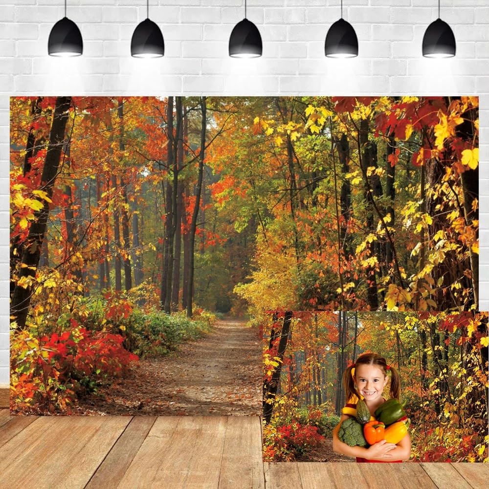 3x2,5m Sfondo paesaggio autunnale Autunno foglie di acero campagna strada sfondo Autunno foresta sfondo fotografico Decorazione per feste di compleanno Adulti Ritratto foto di scena