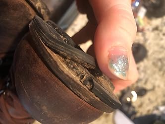 kodiak canora plaid boot