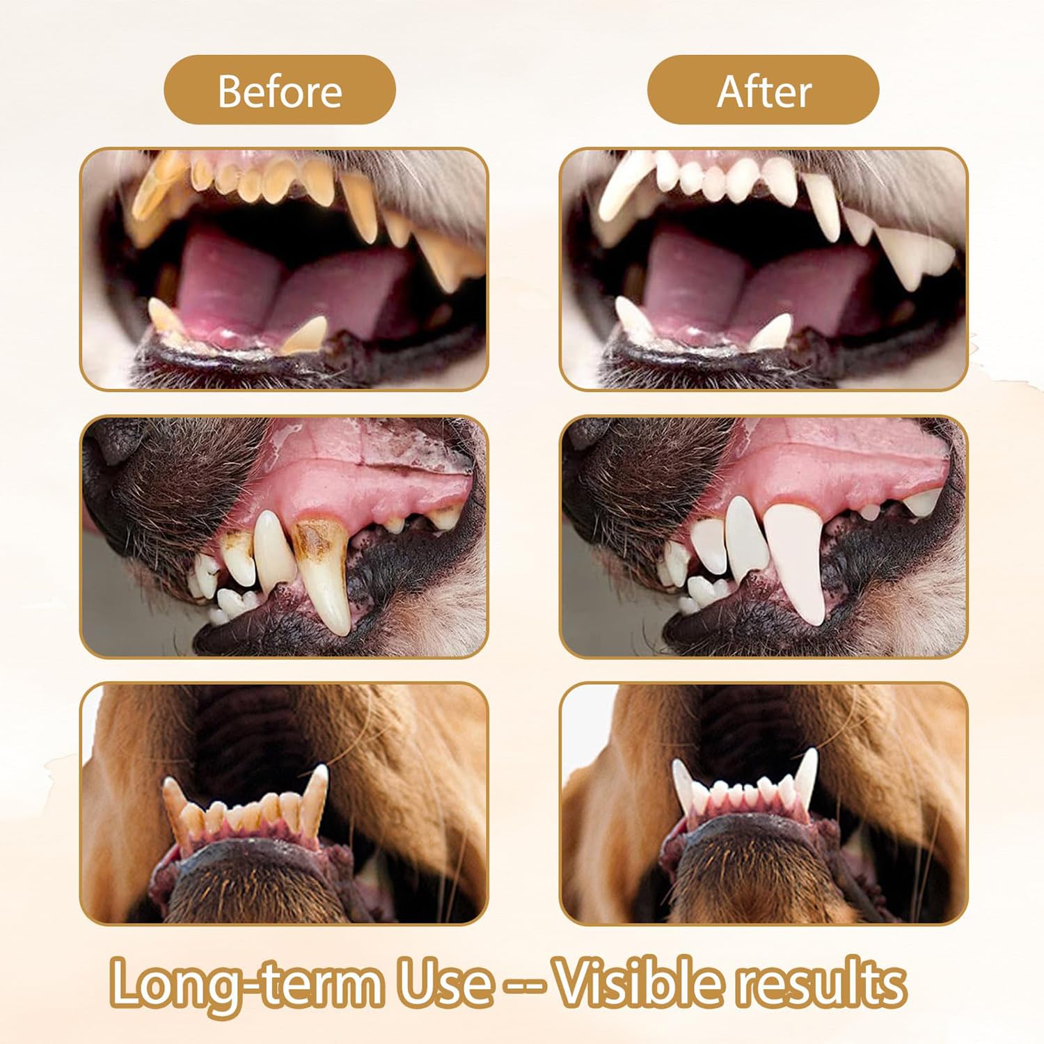 PawBright Dental Plus, formule naturelle, inodore et sans saveur pour lutter contre le tartre, promouvoir des gencives saines et rafraîchir l'haleine, bain de bouche naturel sans saveur, utilisation