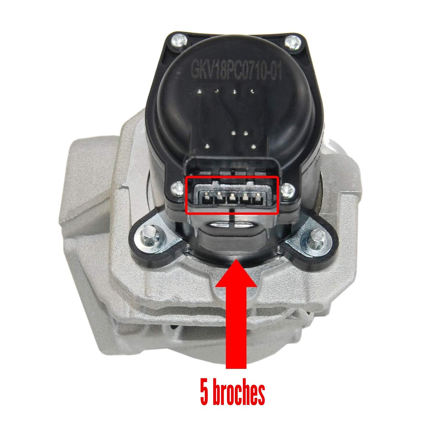 Bisenya Vanne EGR avec joint 161859 1618NR Compatible avec 1.6 HDI C2 C3 C4 C5 Berlingo 206 207 307 308 407 1007 1618.59 1618.NR 9649358780 9660276280 9685640480 9672880080