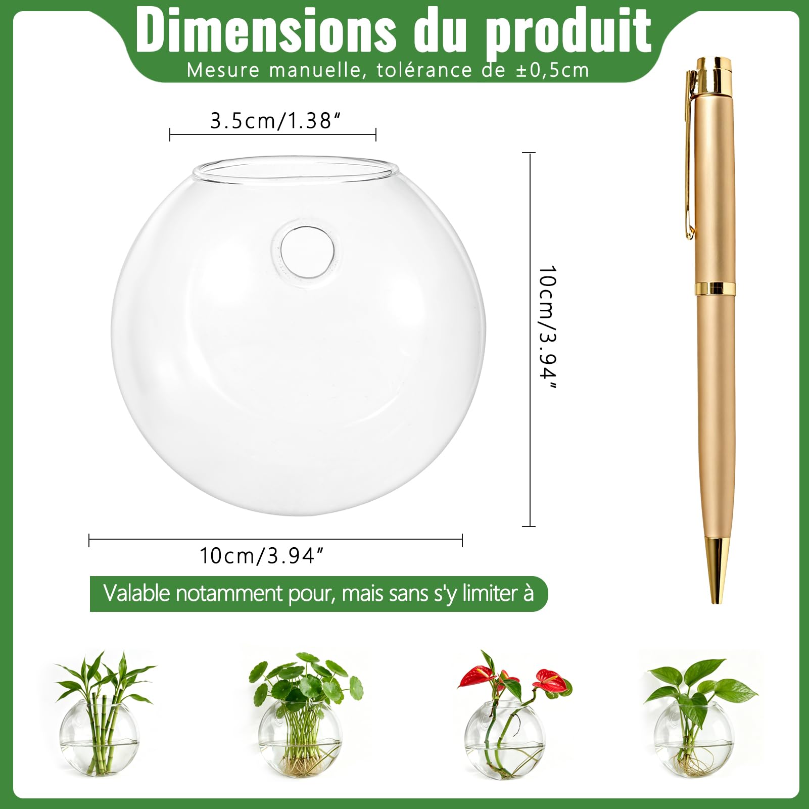 NUPTIO 6 Pièces Jardinières en Verre à Suspendre 10cm de Diamètre en Verre Rond Pot - Eau Planter des Vases Air Fleur Vase Plante Terrariums Conteneur de Plantes