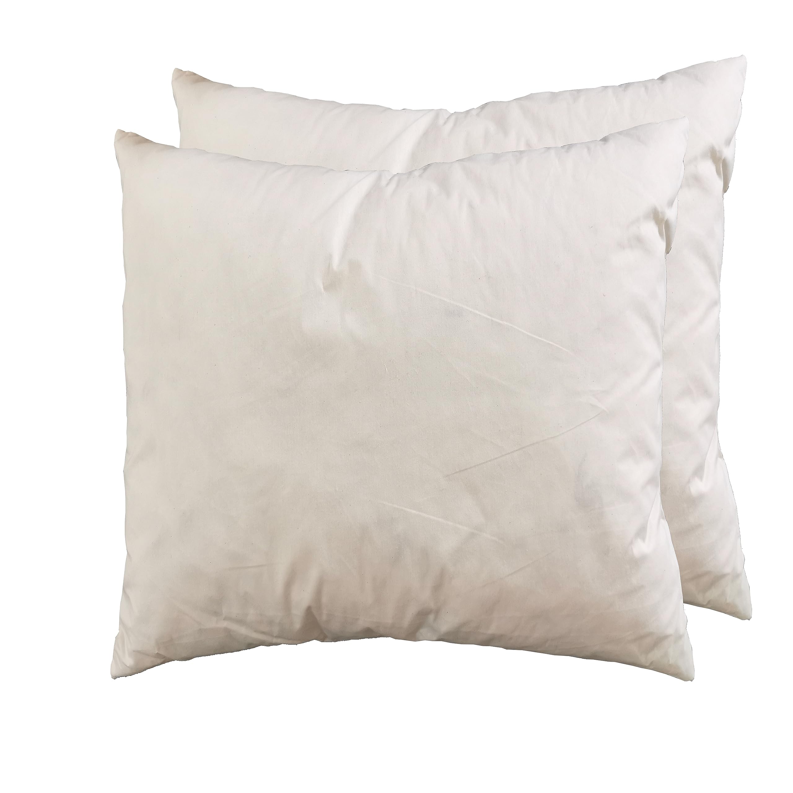 Coussin de rembourrage 50x50 cm idéal pour sublimer le canapé du salon