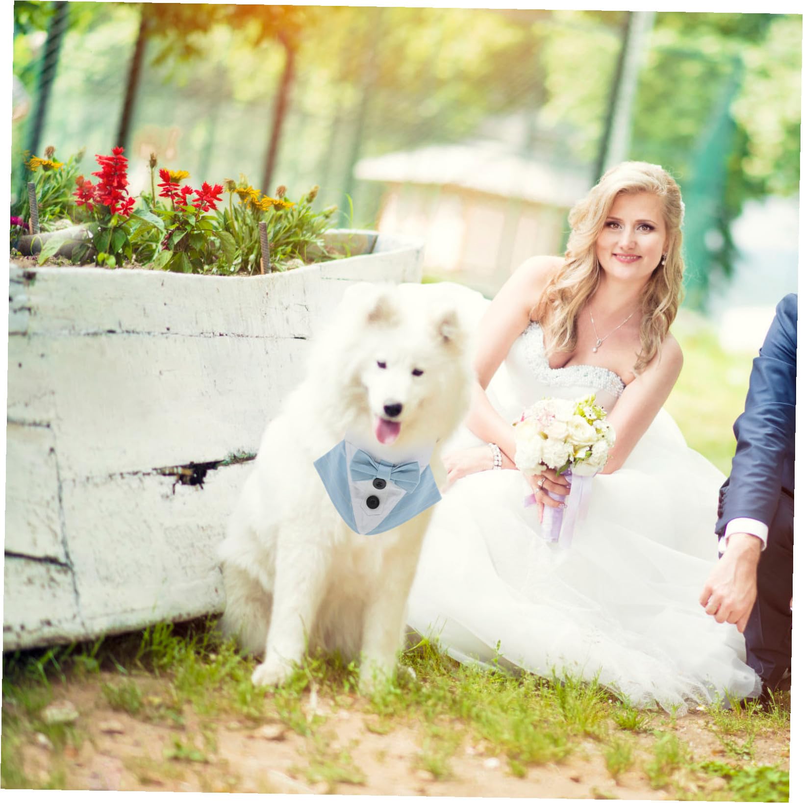 VICASKY 5 Pièces Collier Chien Costume Mariage avec Nœud Bandana Ajustable Polyester pour Chiot Accessoire Élégant pour et Cérémonies Bleu S