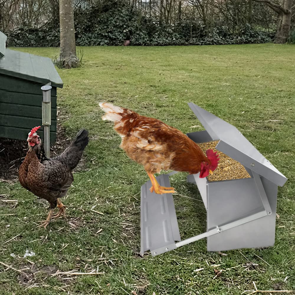 Comedero automático para pollos, 5 kg, comedero para gallinas, comedero de acero galvanizado con tapa, comedero para aves de corral