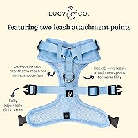 Vista 19 de Lucy & Co. Arnés para perro Midnight No-Pull – Talla M – Chaleco para dejar de tirar y caminar fácil – Cómodo producto de entrenamiento de correa