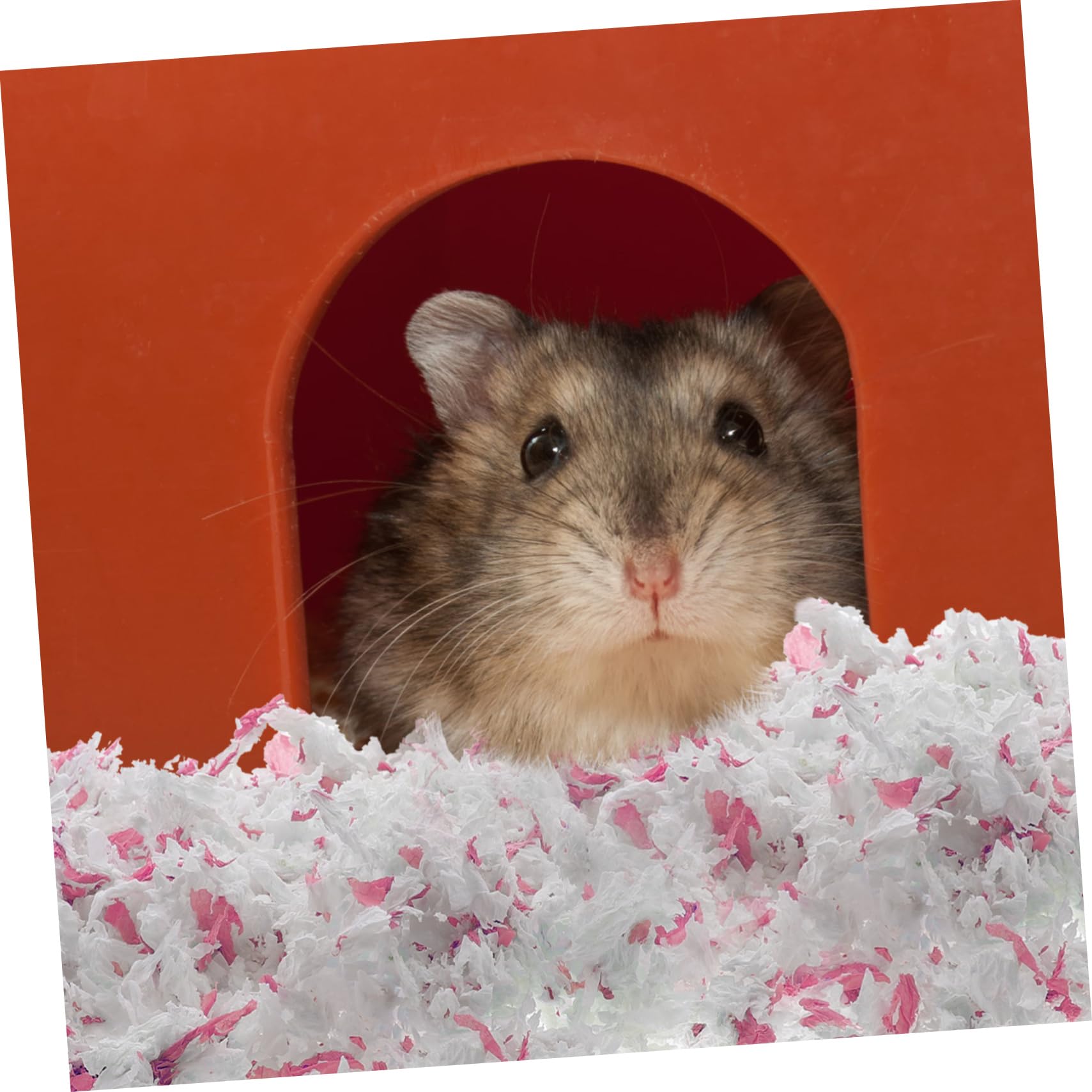 Happyyami Lettiera di Carta per Criceti e Gerbilli, Materiale da Nido Bianco, Assorbente e Sicuro per Gabbie di Piccoli Animali, 1 Sacchetto da 450g
