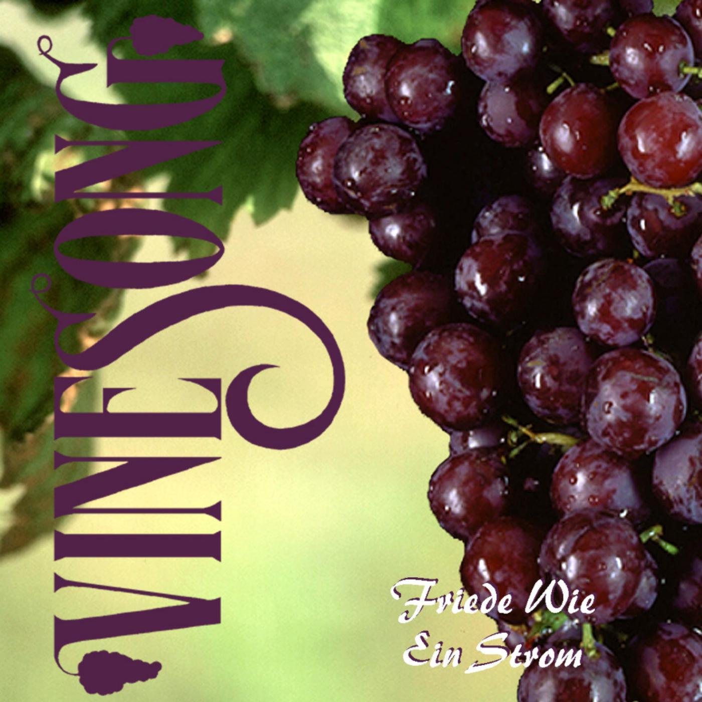 Vinesong