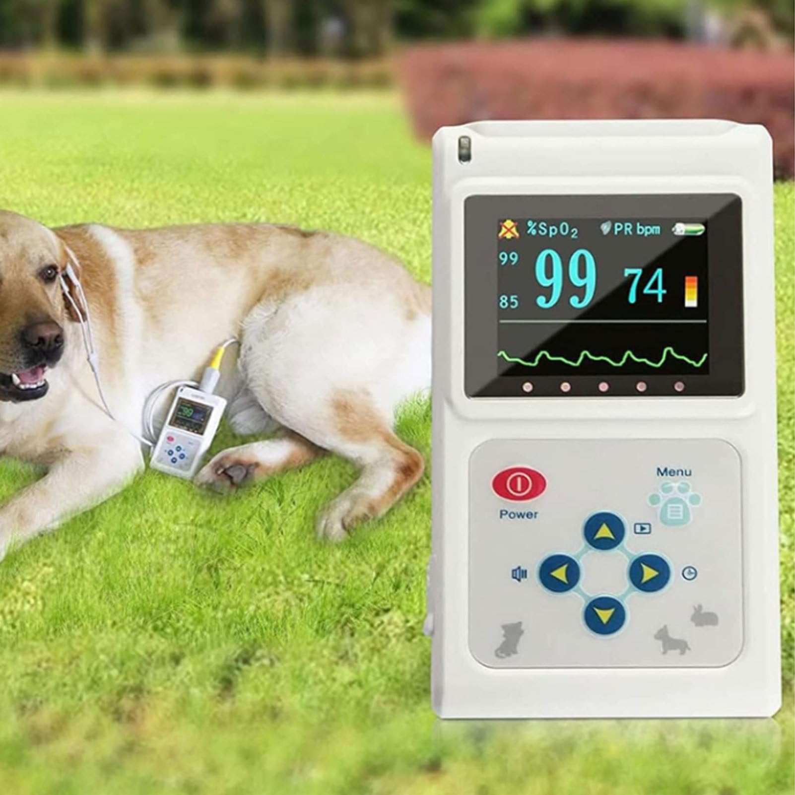 Oxímetro de pulso veterinario portátil, monitor de frecuencia cardíaca veterinaria, sensor de SPO2 para oído/lengua para uso en hospitales familiares y veterinarios.