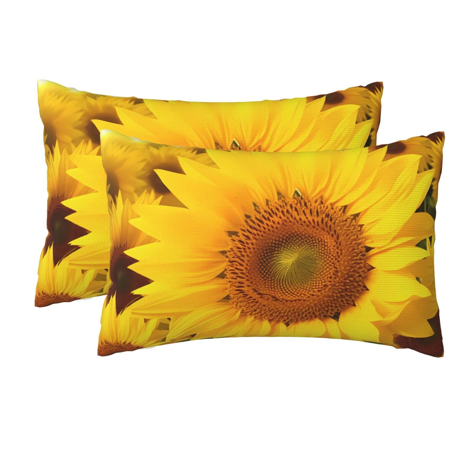 2 Pack Queen Pillow Cases with Hidden Zipper, Soft Breathable Pillow Covers for Hair and Skin, Sunflowers Pillowcases 20"x30" Bed Pillow Protectors Cover for Sleeping Gifts