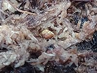 Review Image by Nathan Vasquez Nathan Vasquez