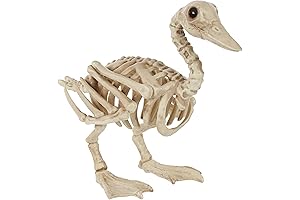 Crazy Bonez Collector Series Skeleton Alligator