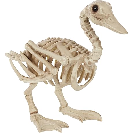 Crazy Bonez Collector Series Skeleton Alligator