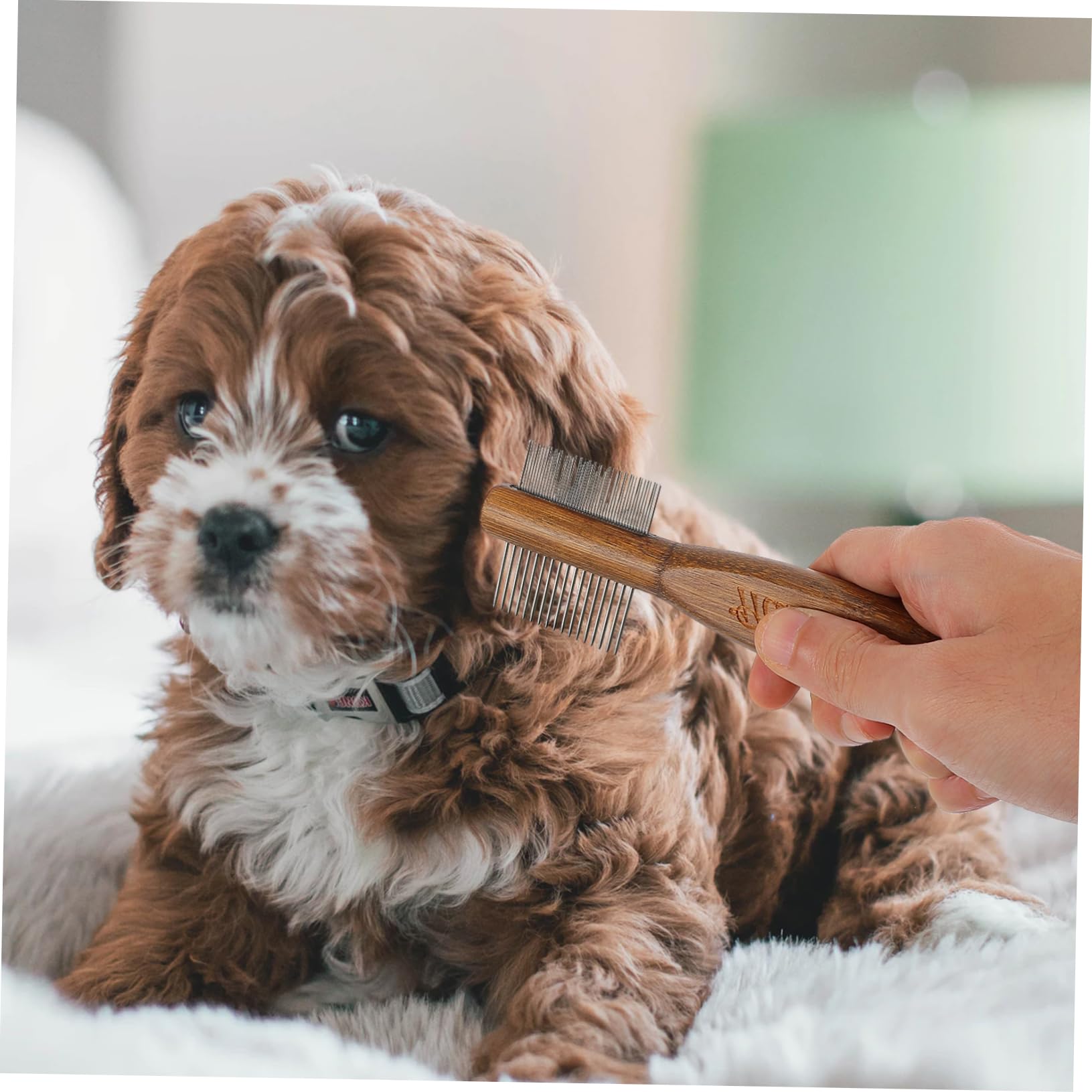 VANZACK 3piezas Peine De Doble Para Mascotas Cepillo De Limpieza Eficaz Para Perros y Gatos Herramienta De Aseo Para Eliminar Pelo Suelto y Masajear Mango Para Cuidado De Mascotas