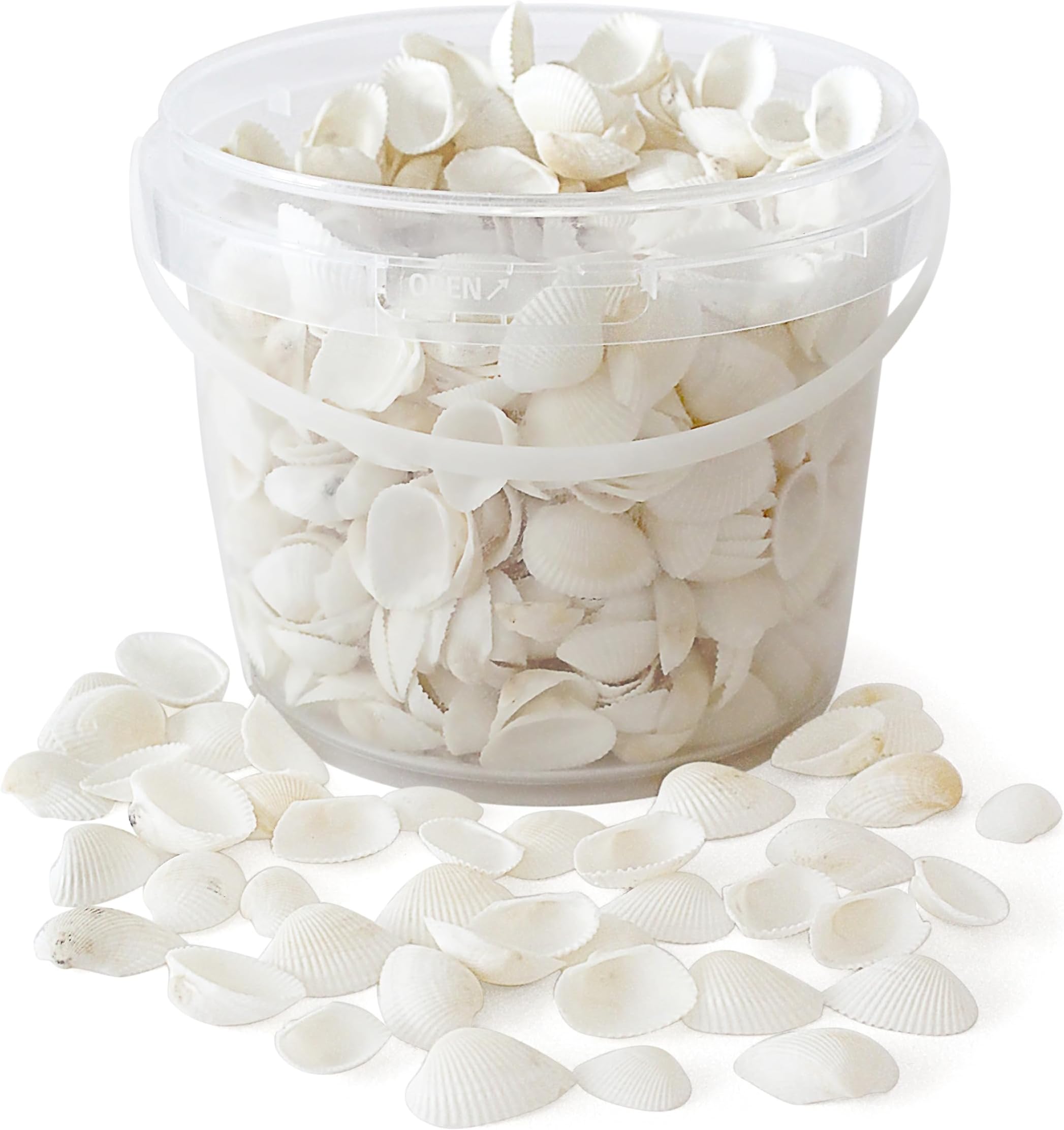 Rainbow Eco Play Sea Shells, White Seashells Approx. 650pcs, Natural Shells for Crafting, Real Beach Shells, Decorative, Arts and Crafts, Vase, Aquarium, Fish Tank, Home Décor