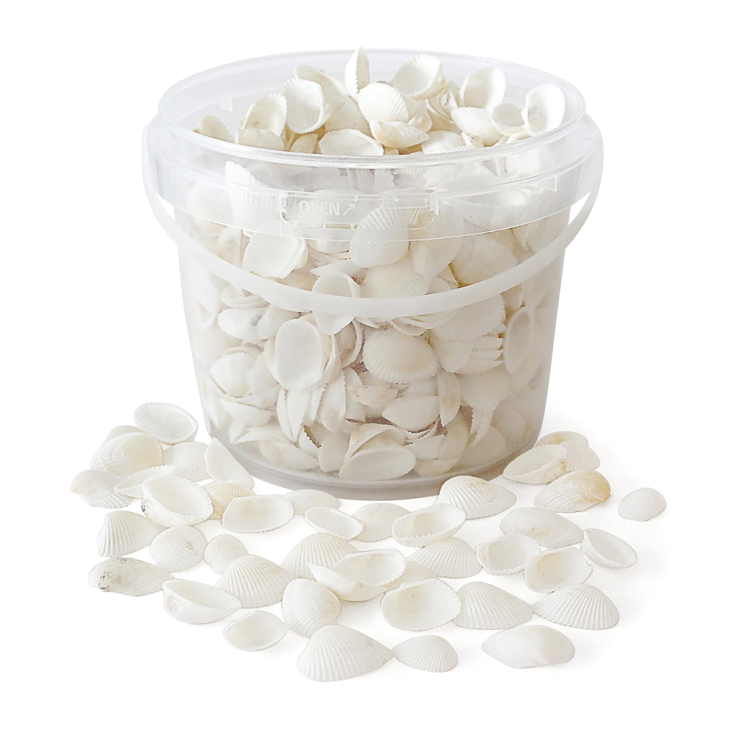 Rainbow Eco Play Sea Shells, White Seashells Approx. 650pcs, Natural Shells for Crafting, Real Beach Shells, Decorative, Arts and Crafts, Vase, Aquarium, Fish Tank, Home Décor