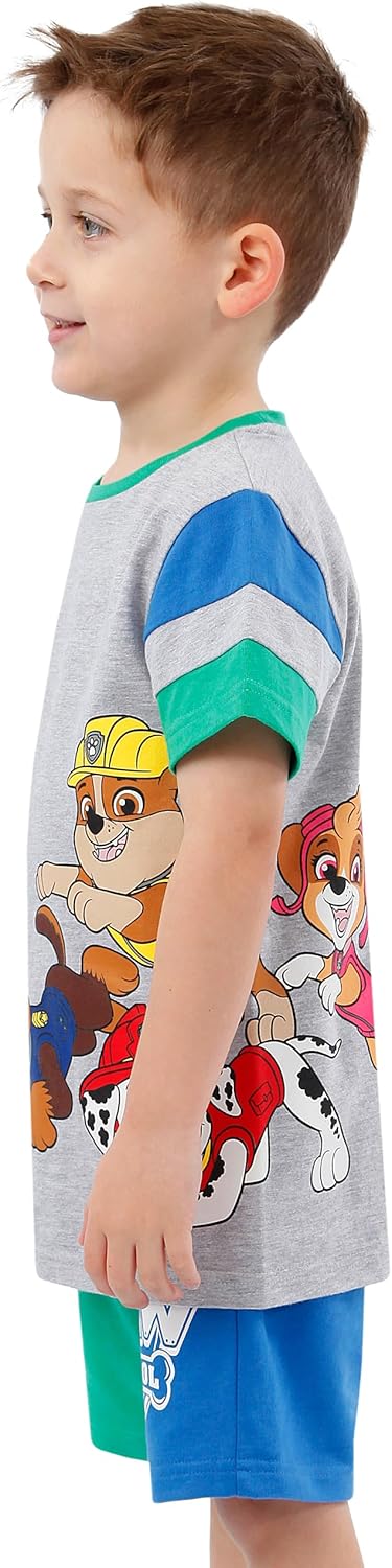 Paw Patrol Outfit | Boys Short And Tshirt Set | Boys Clothing Sets