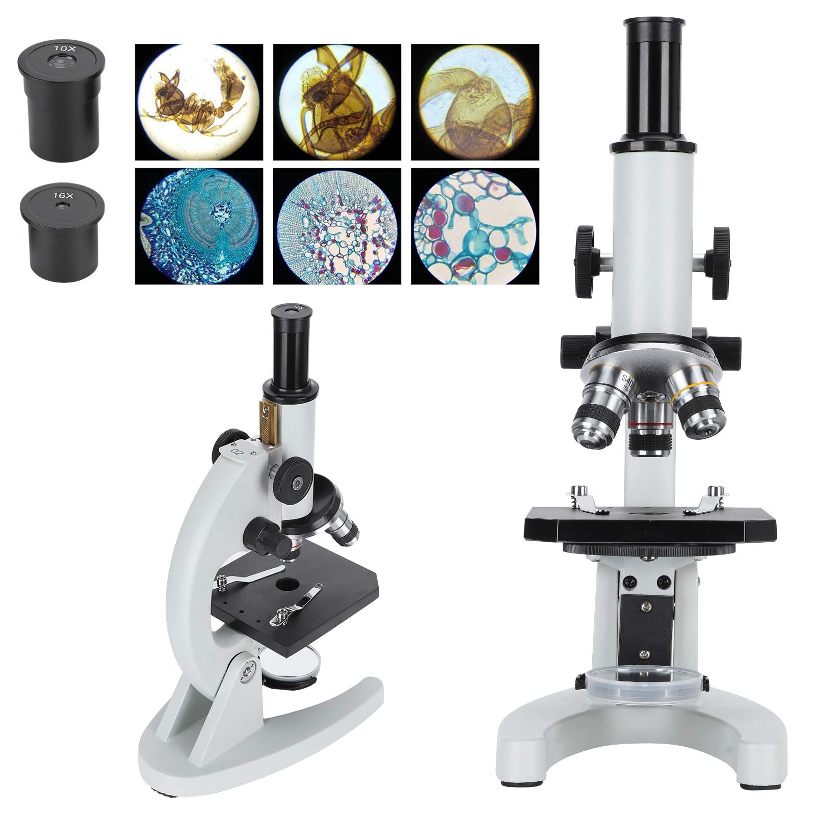 J02041 Microscopio 640X Herramienta educativa biológica Construcción de acero de grado profesional 33,8 cm de largo 19,8 cm de ancho para estudiantes Laboratorios de ciencia