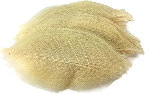Hojas de esqueleto de 3 pulgadas, 100 piezas de hojas de goma natural para hacer flores, tarjetas especiales para álbumes de recortes, manualidades,