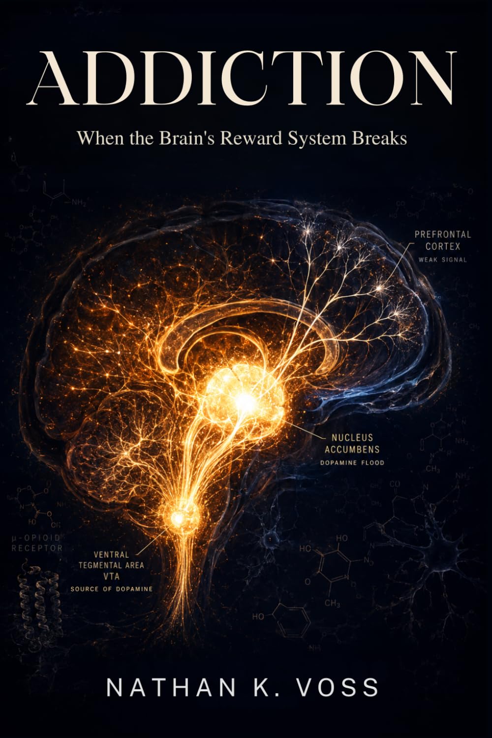 Addiction: When the Brain's Reward System Breaks (The Neuroscience Series)