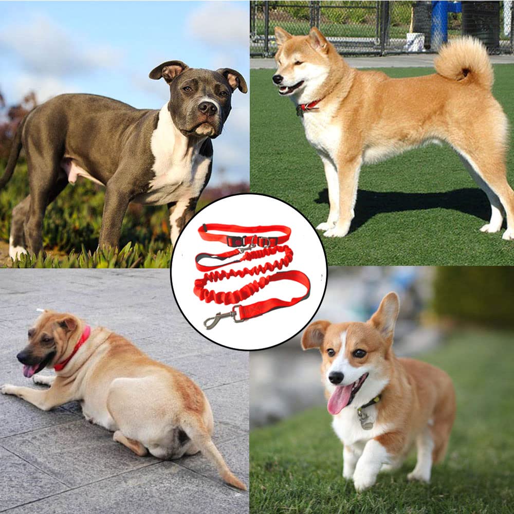 Guinzaglio A Mani Libere Per Cani - Cintura In Vita E Guinzaglio Elastico Riflettente - Foto 5