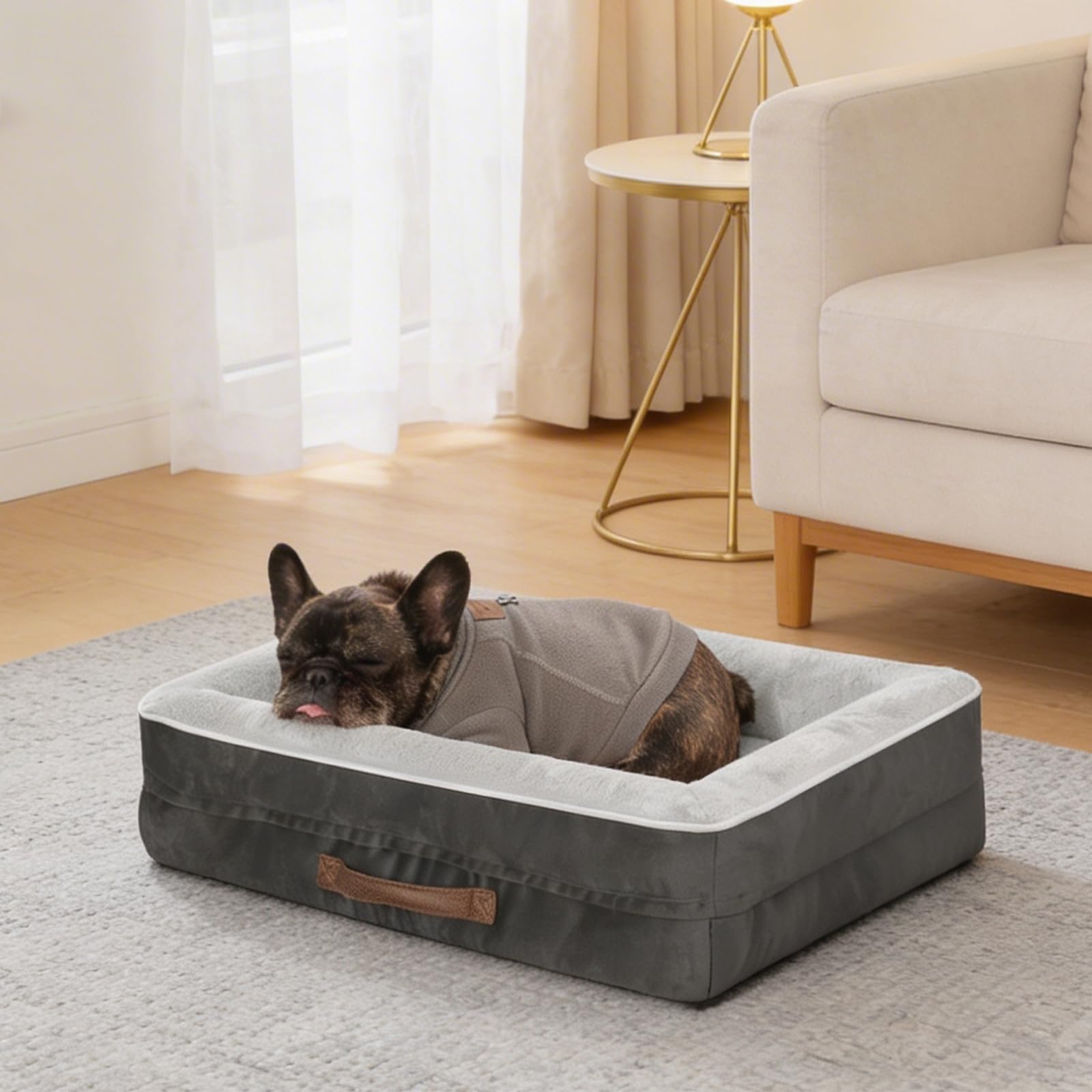 Renvix Medium Orthopedic Cat Bed, Waterproof Dog Sofa Bed with Removable Washable Cover, Soft Egg Foam Pet Bed, Non-Slip Bottom and Four-Sided Bolster Cushion（Gray, 61x46x15cm）