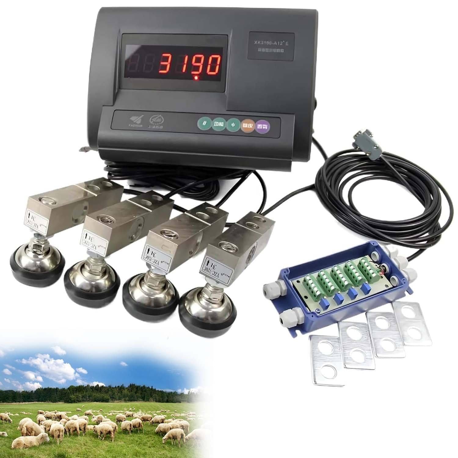 Set di bilance per Bestiame, Bilancia con Celle carico ad Alta precisione 4 e Display a LED. elettroniche Bestiame Scatola Giunzione. Bilance bovini, suini, capre, 5000 kg