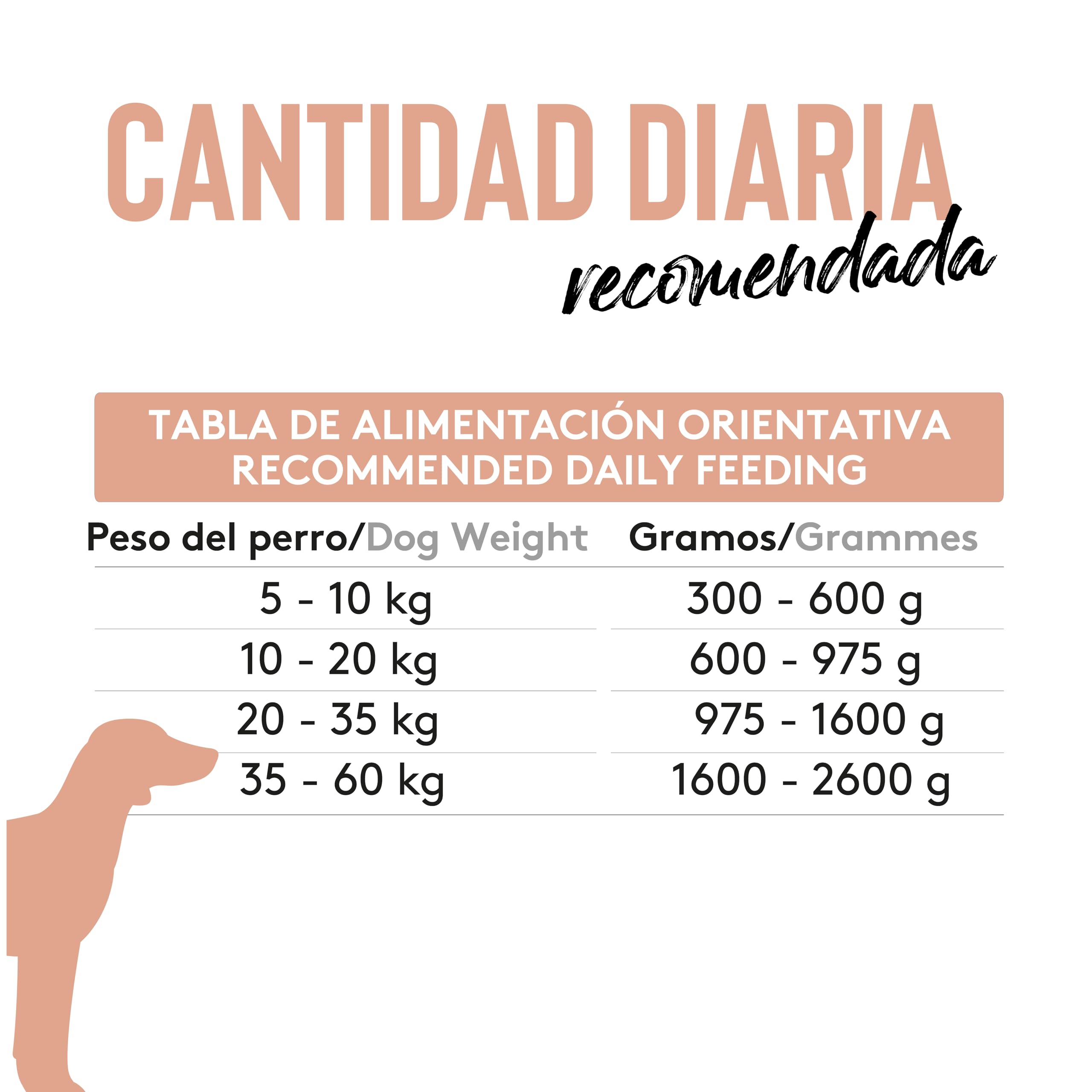 Dibaq Sense Grain Free Salmón, 12 uds x 380 gr