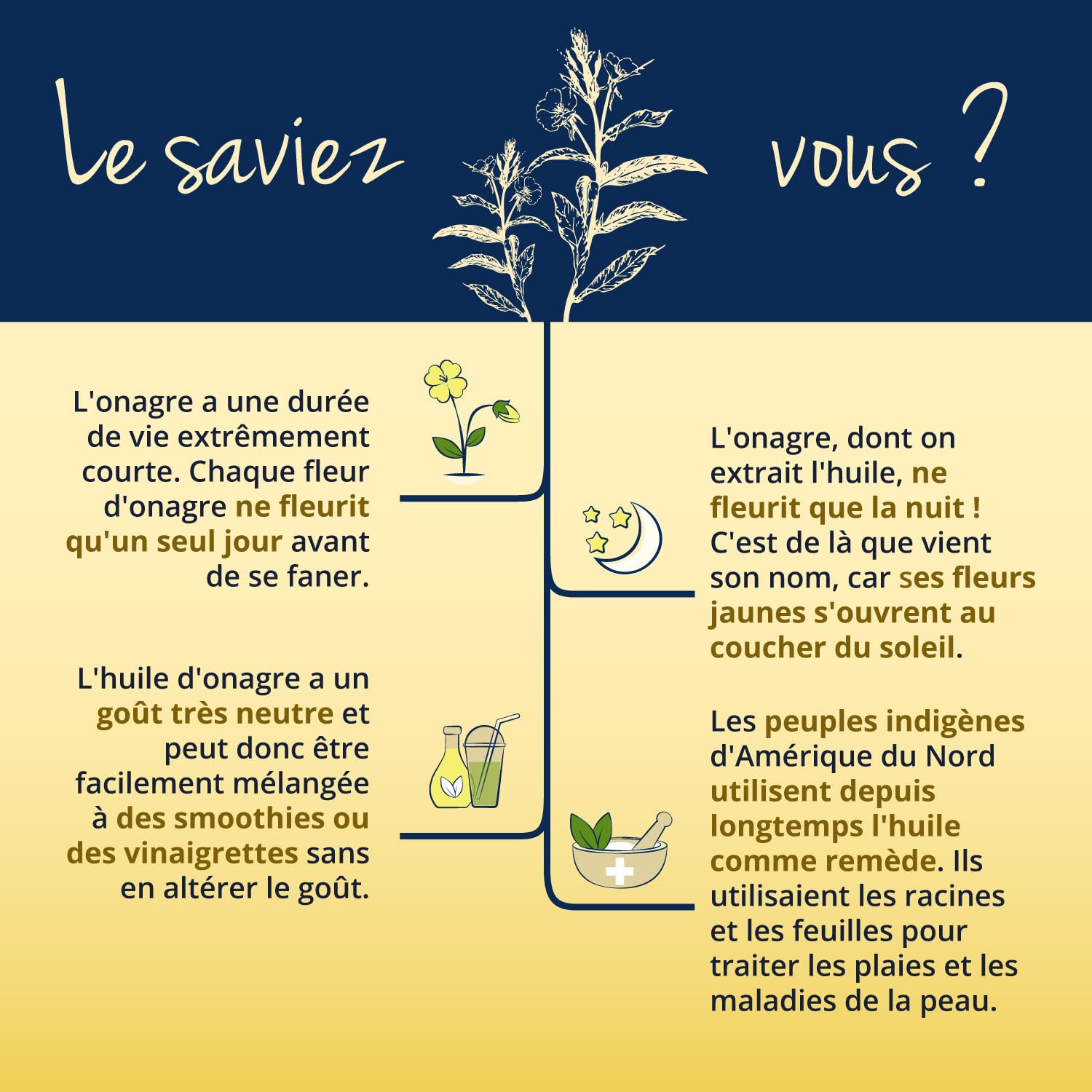 Huile Onagre 2100 mg | UNIQUE: Le Seul Vegan | Omega 6: 11% GLA | Pressé à Froid | 100% Naturel | Peau + Équilibre Hormonal | 120 Gélules | Vegavero®