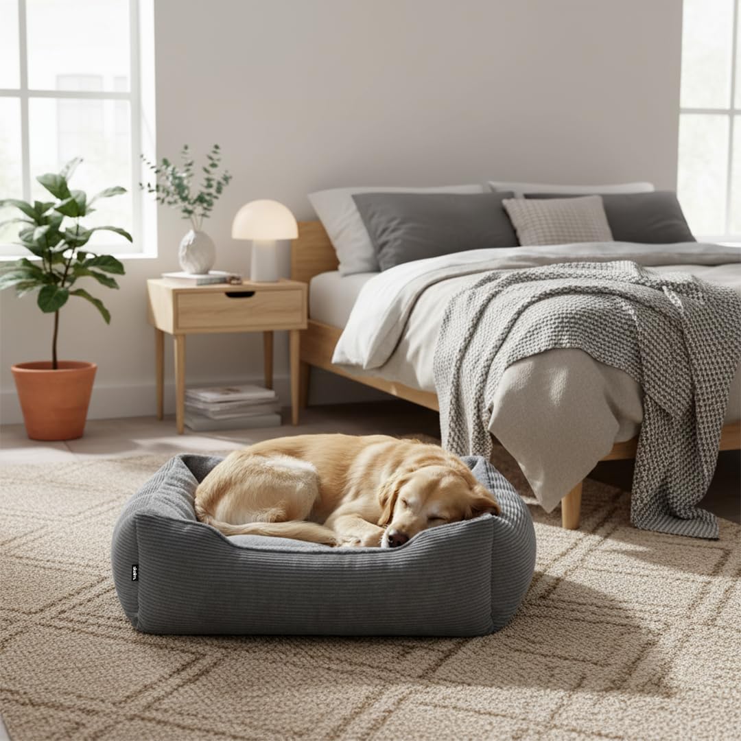 skølm Kuscheliges Hundebett Eir mit abnehmbaren Bezug, Hundekorb waschbar für kleine und mittelgroße Hunde, Hundekissen, Hundekörbchen Hundesofa 90x65 cm