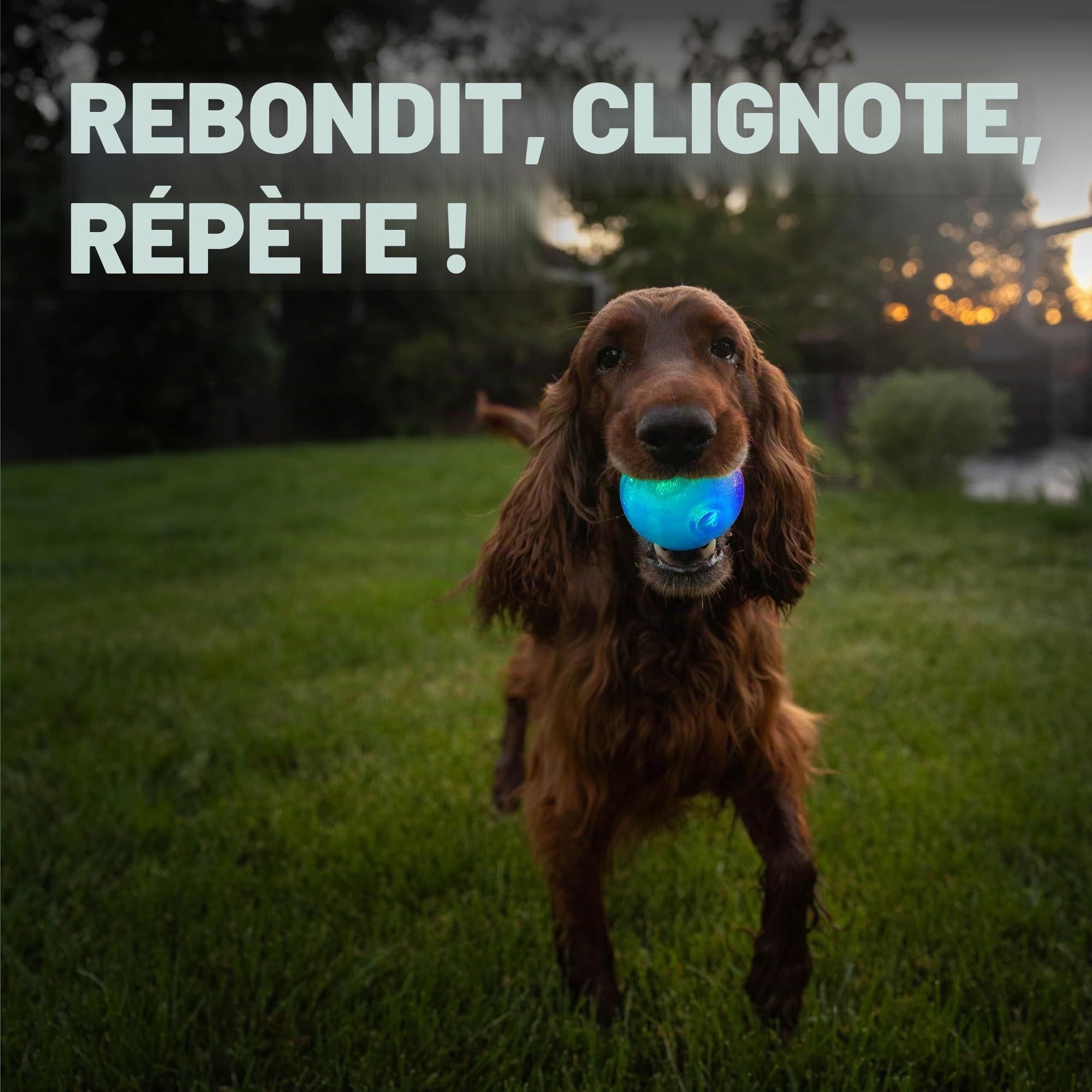 Planet Dog Balle pour chien Strobe - en Orbee-Tuff - éclairage LED - bleu