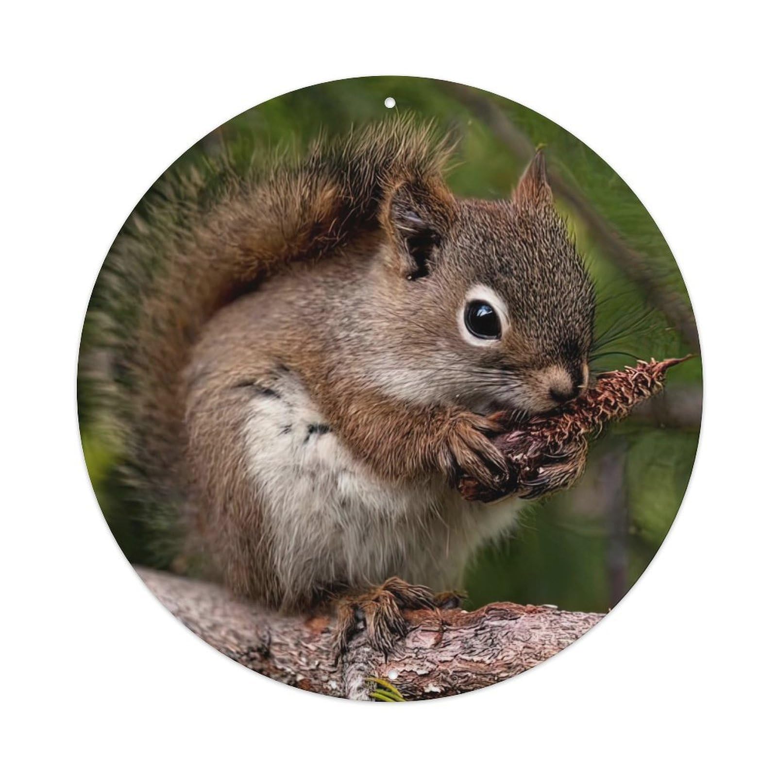Animals Cute Squirrel Vintage Metal Tin Sign Plaque Wall Decor for Cafe, Club Bar, Office, Garden Metal Poster 8x8Inch