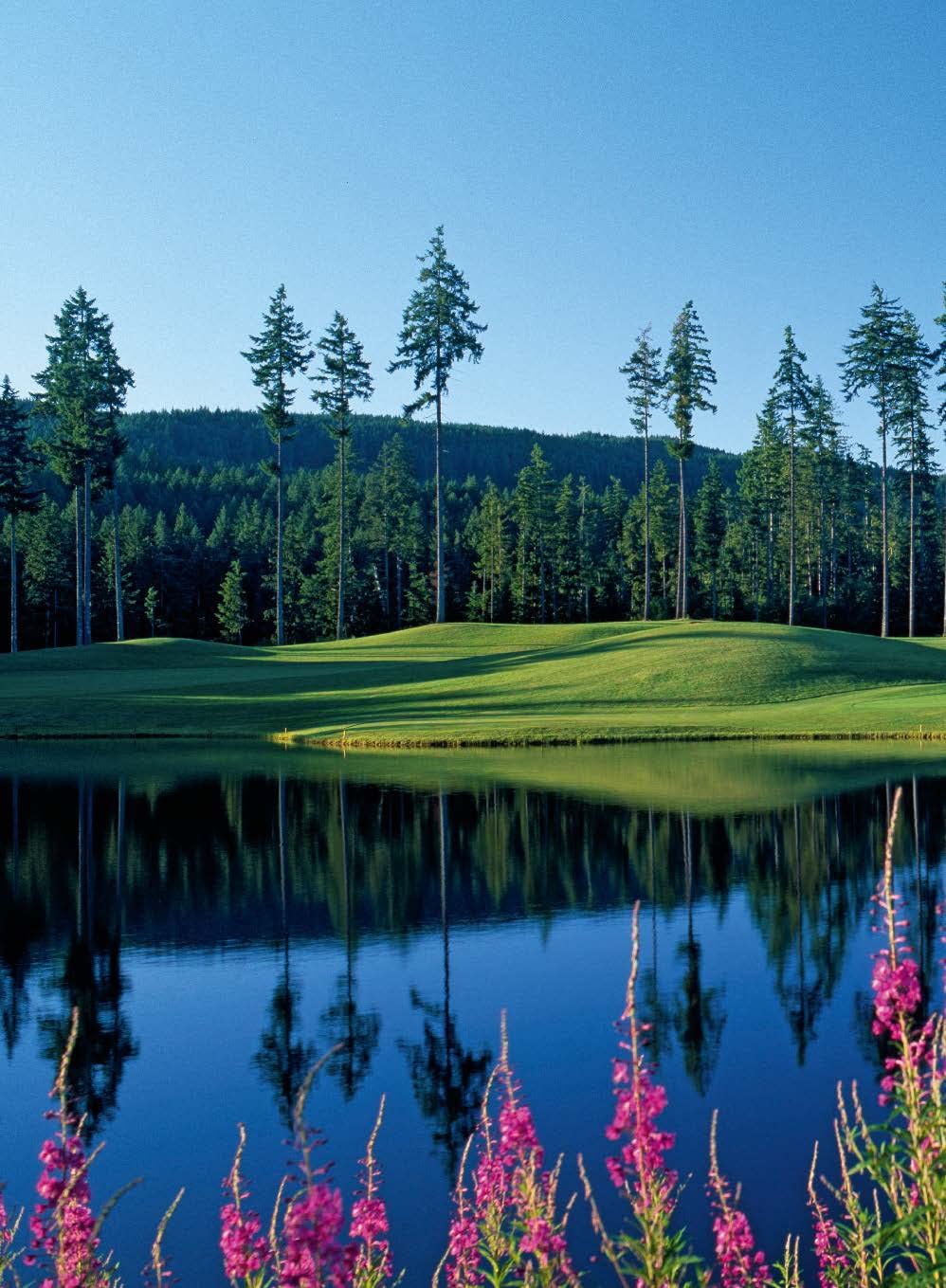 150 golf courses you need to visit before you die /anglais (150 Series)
