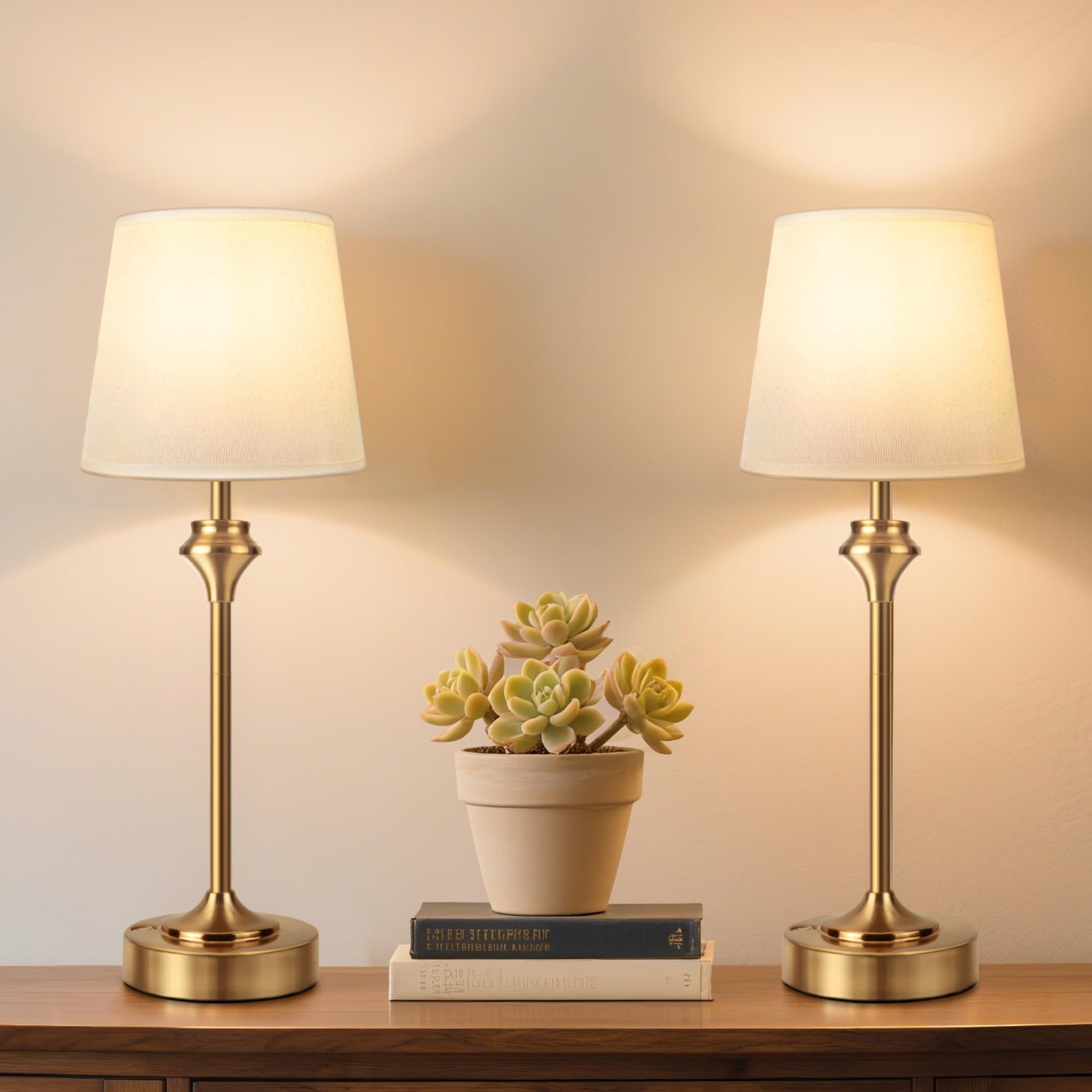 NIORSUN Portables Cordless Table Lamp Set of 2, Battery Operated Lamp, Bedside Table Lamp with Warm White,3 Way Dimmable Touch Desk Lamp for Bedroom