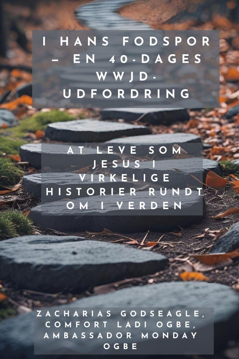 I hans fodspor - En 40-dages WWJD-udfordring - At leve som Jesus i virkelige historier rundt om i verden