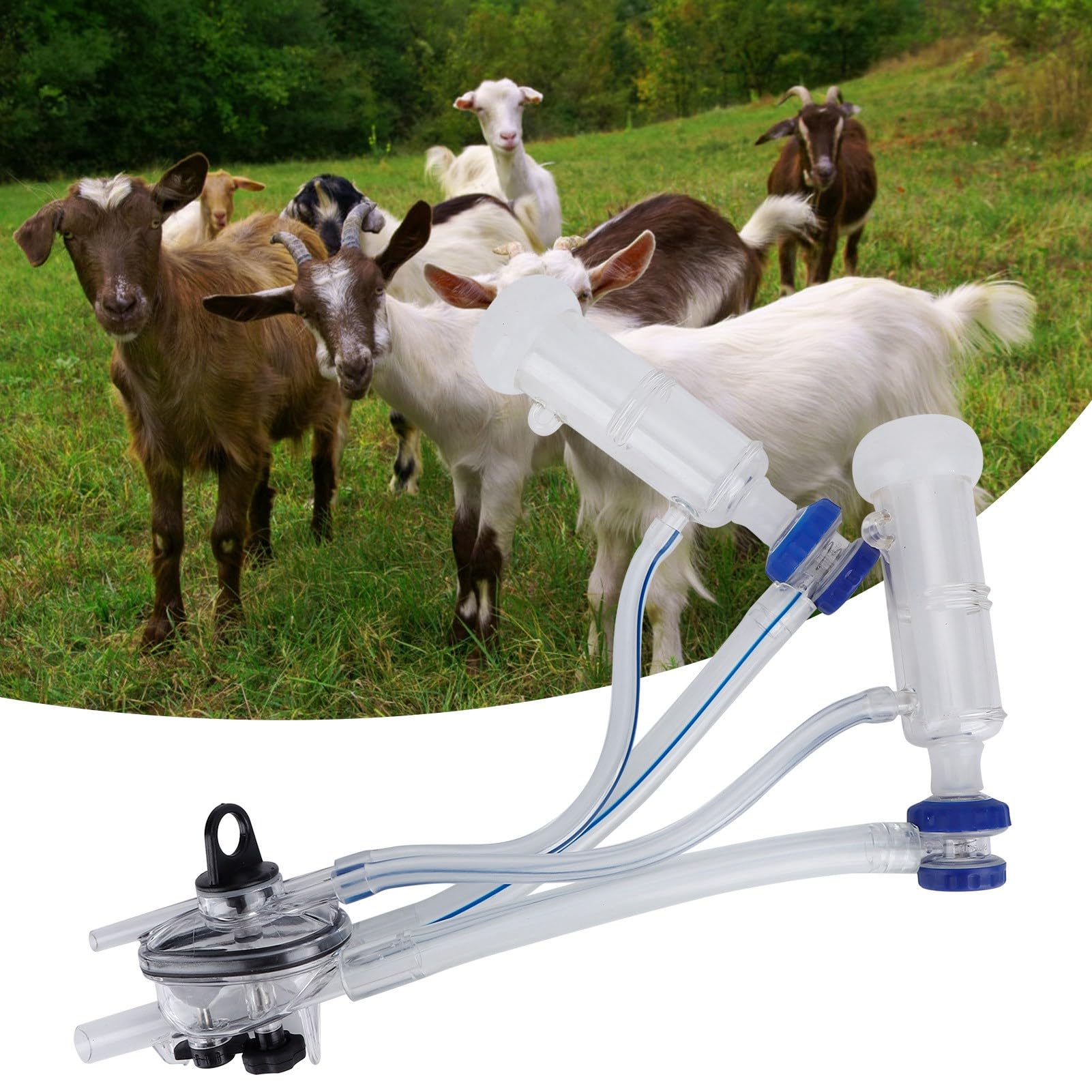 pecora da mungitura di tazze da tettarella, set di collezione di latte in silicone e plastica per la macchina milker, pezzi di ricambio, 42x21x10 cm, facile sostituzione,