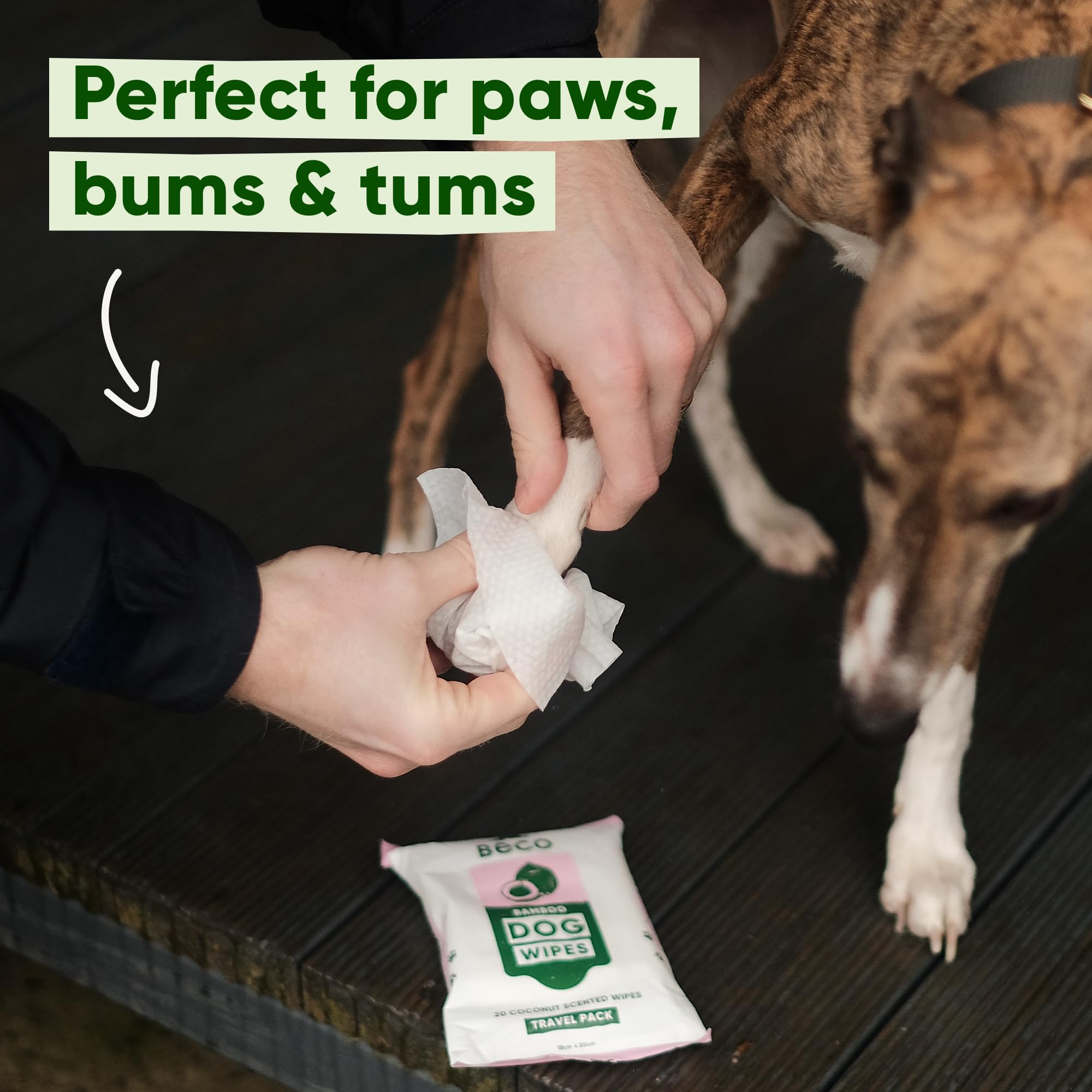 Beco Salviette per Cani, Senza plastica, 20 salviette x 6 Confezioni da Viaggio, al Profumo di Cocco, per Zampe, Corpo e Sedere, salviette per la toelettatura a Base vegetale