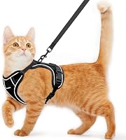 Kaazylab Escape-Proof Cat Harness & Leash - Adjustable Breathable Vest for Kittens & Cats, Easy Walk Black Small