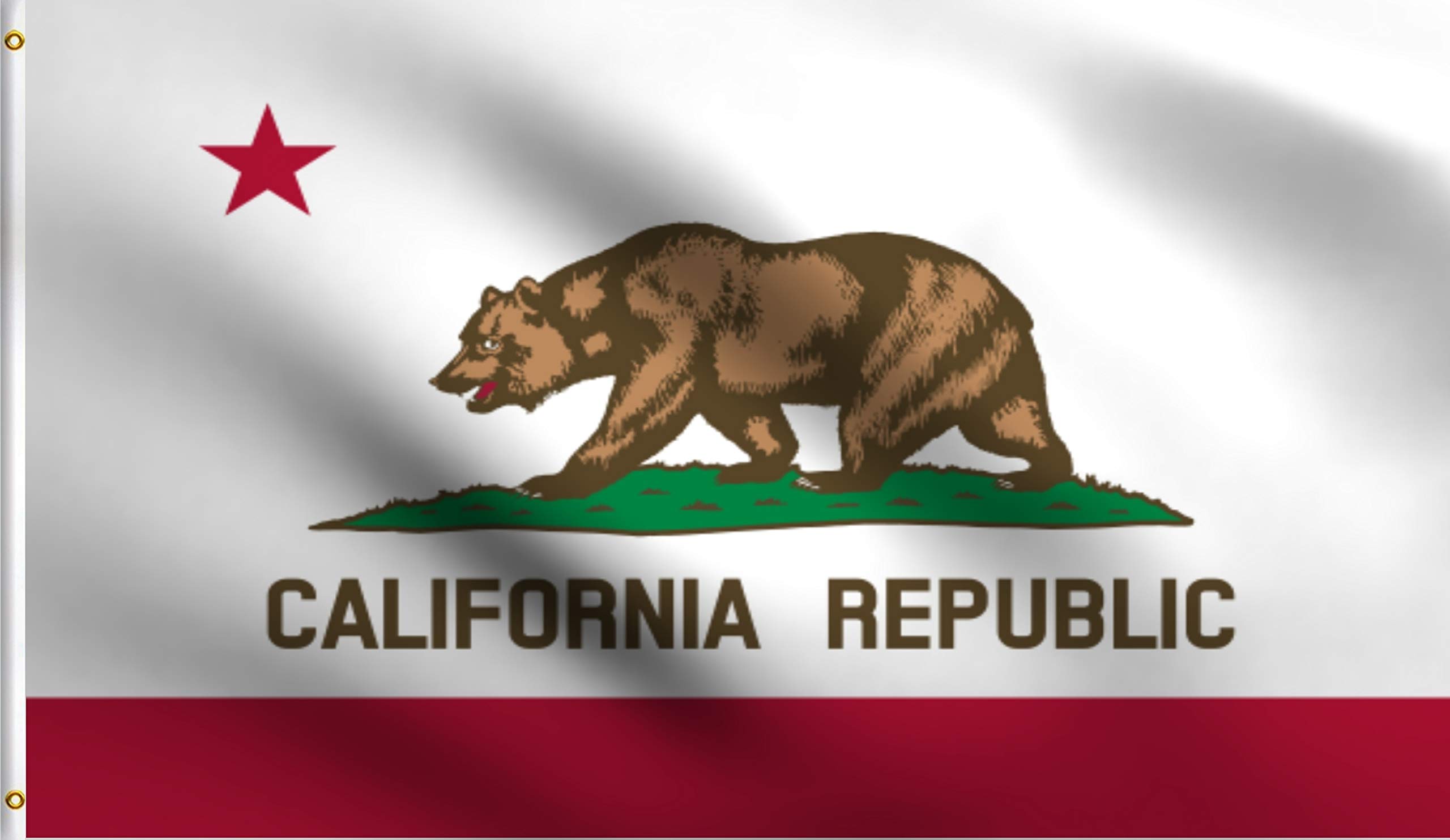 DMSE California State Bear Flag - 2' X 3' Ft Foot, 100% Polyester, UV Resistant