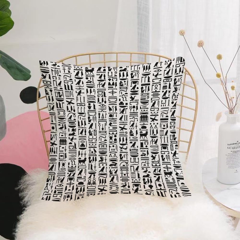 HYMSXW Cushion Cover,Throw Pillow Case Home Decorative for Living Room Bedroom Sofa Chair 20X20 Inch,Egyptian,Ancient Egyptian Hieroglyphic Writing Monochrome,Pillowcase 50X50cm