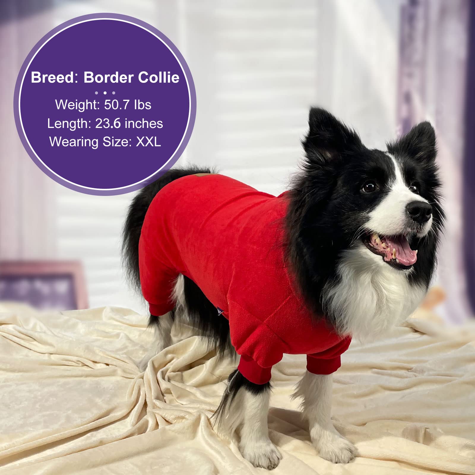 cyeollo Warm Dog Pajamas Winter Coats Fleece Dog Pjs Stretchy Turtleneck Thermal Pet Clothes Medium Dog Pajamas for Cold Weather, Red 2XL