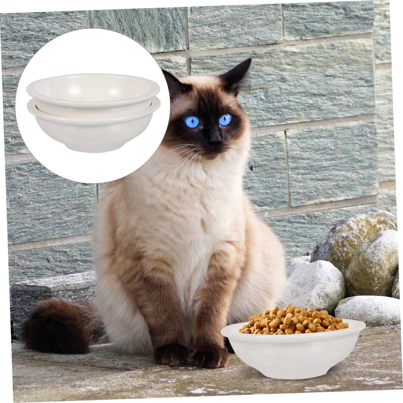 Tazón para Mascotas de Cerámica Blanco Antideslizante 2 Piezas | Fácil de Limpiar, Diseño Simple, para Gato y Perro, Suministros para Mascotas
