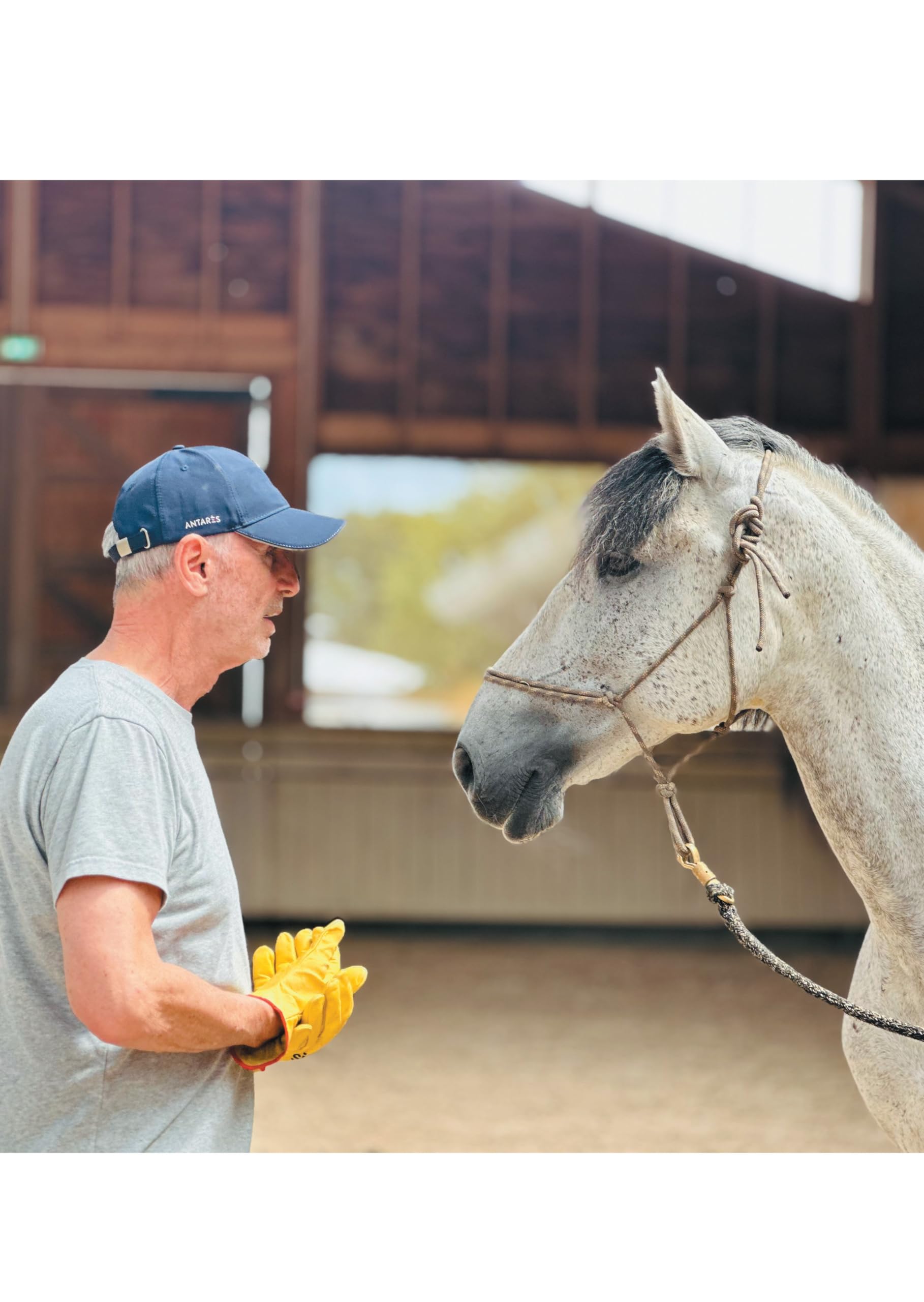 Guide d'équitation éthologique: Les Savoirs 1 et 2 décryptés avec exercices détaillés