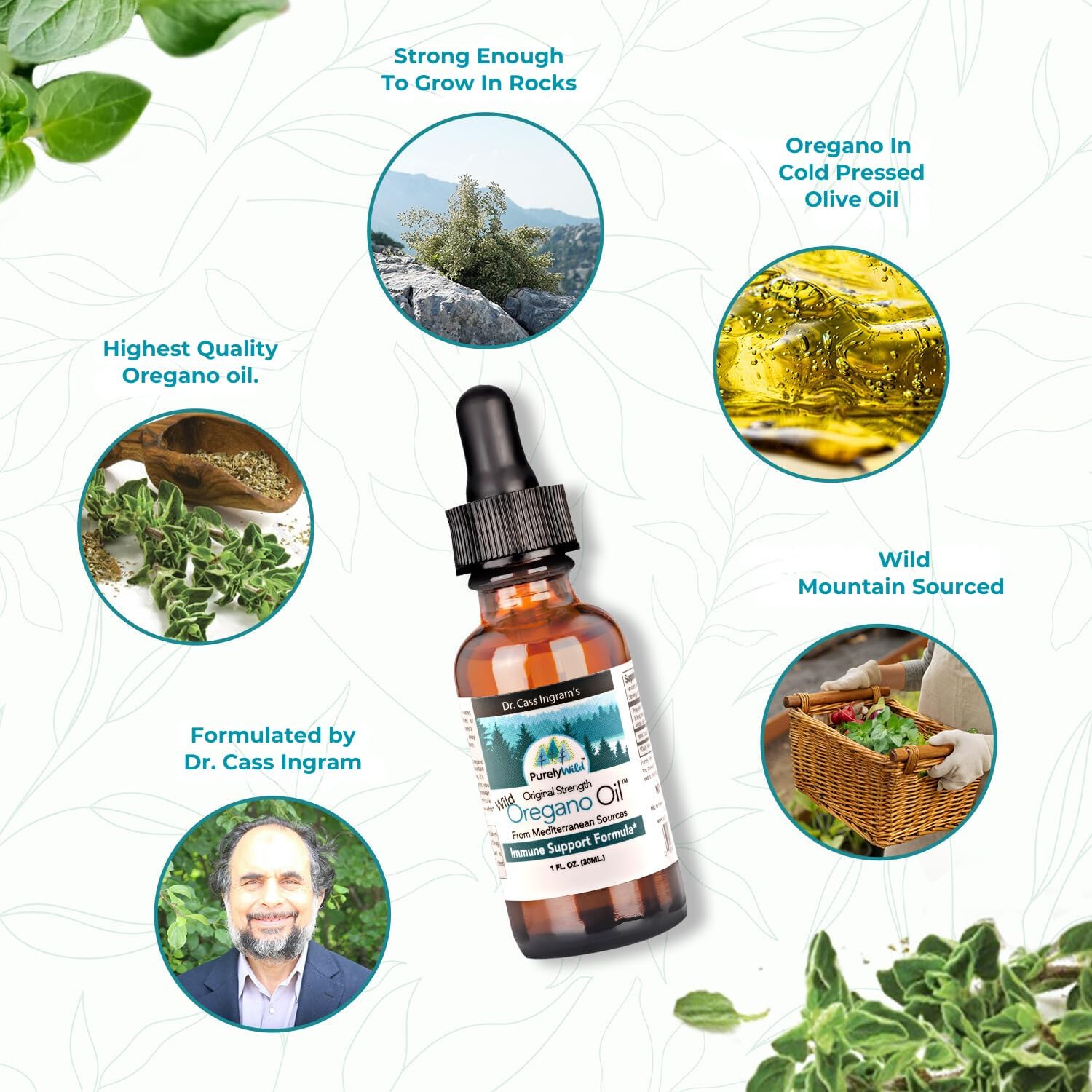 PURELY WILD Oregano Oil from Mediterranean Sources - Dr Cass Ingram's Immune Support Formula - Non GMO Wild Oil of Oregano Drops - 432 Servings - 1 fl oz Original Strength