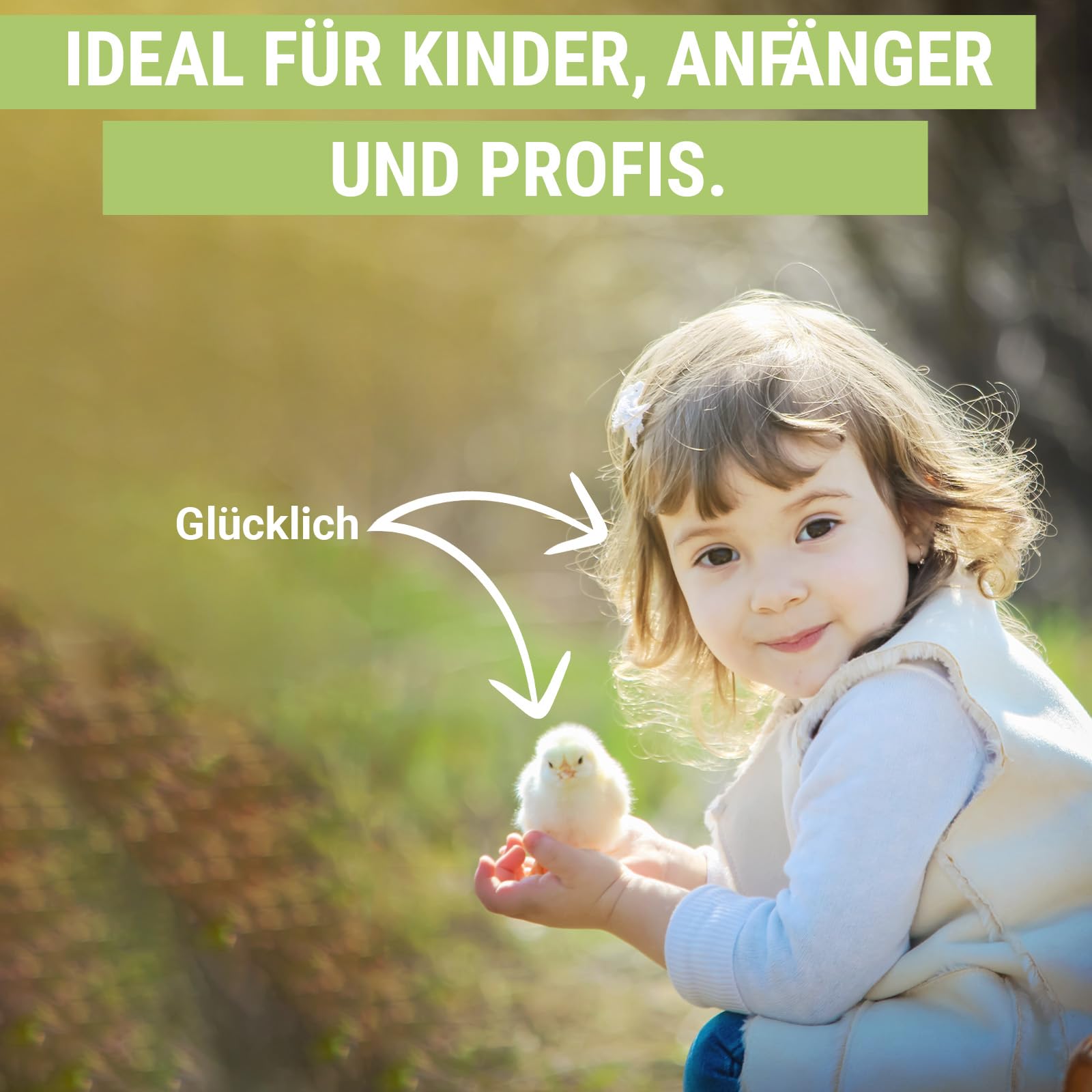 OBI-12 Brutautomat Vollautomatisch – Inkubator für 12 Eier mit Automatischem Eierwender - Brutkasten Hühner für Hühnereier, Wachtel und Enteneier - Gelb
