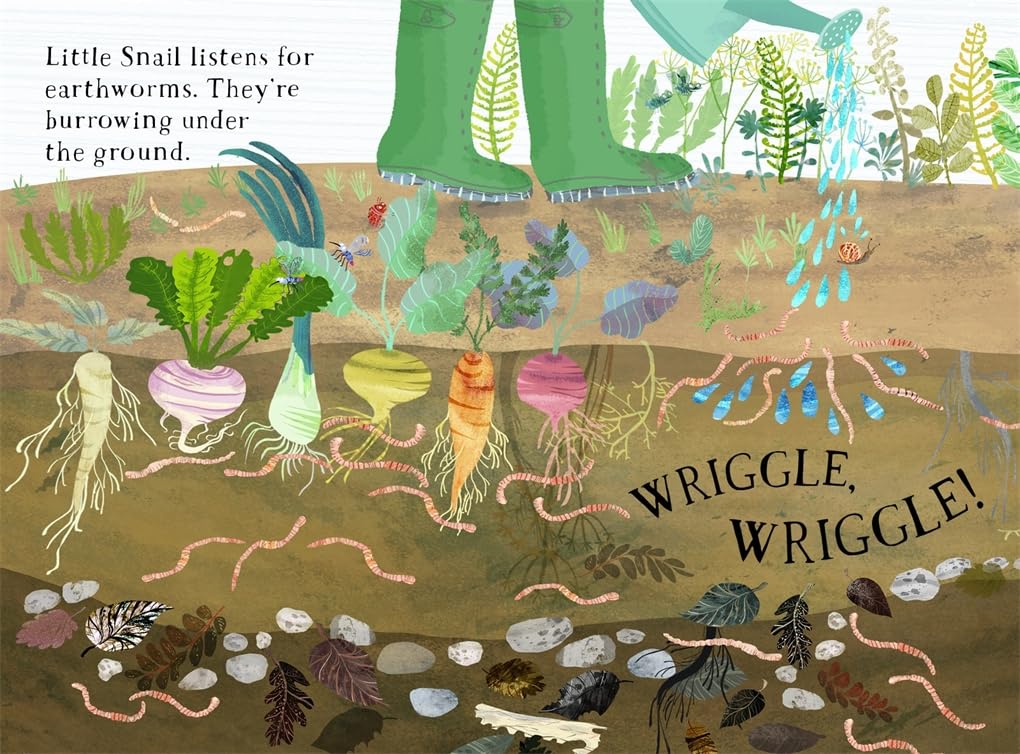 Little Snail's Book of Bugs /anglais
