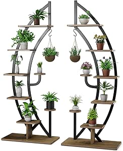 LASZOLA Support Pour Plantes D'intérieur à 5 Niveaux Robuste Pour Pot